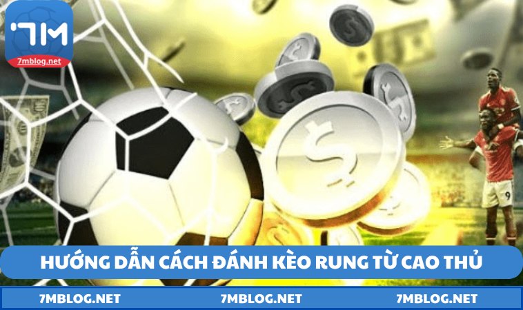 huong dan cach danh keo rung tu cao thu Hướng dẫn cách đánh kèo rung từ cao thủ