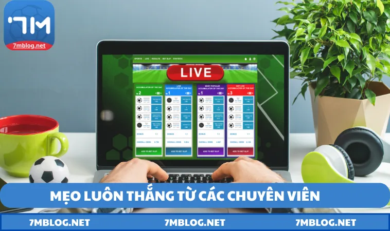 thong tin chia se mien phi va cong khai tren moi nen tang Thông tin chia sẻ miễn phí và công khai trên mọi nền tảng