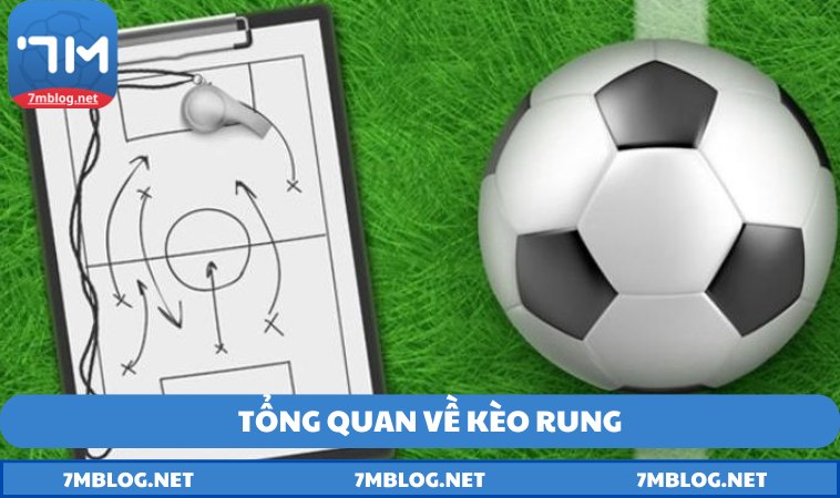 tong quan ve keo rung Tổng quan về kèo rung