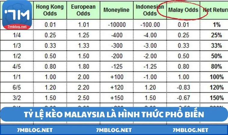 Các loại tỷ lệ kèo Malaysia thường gặp tại nhà cái